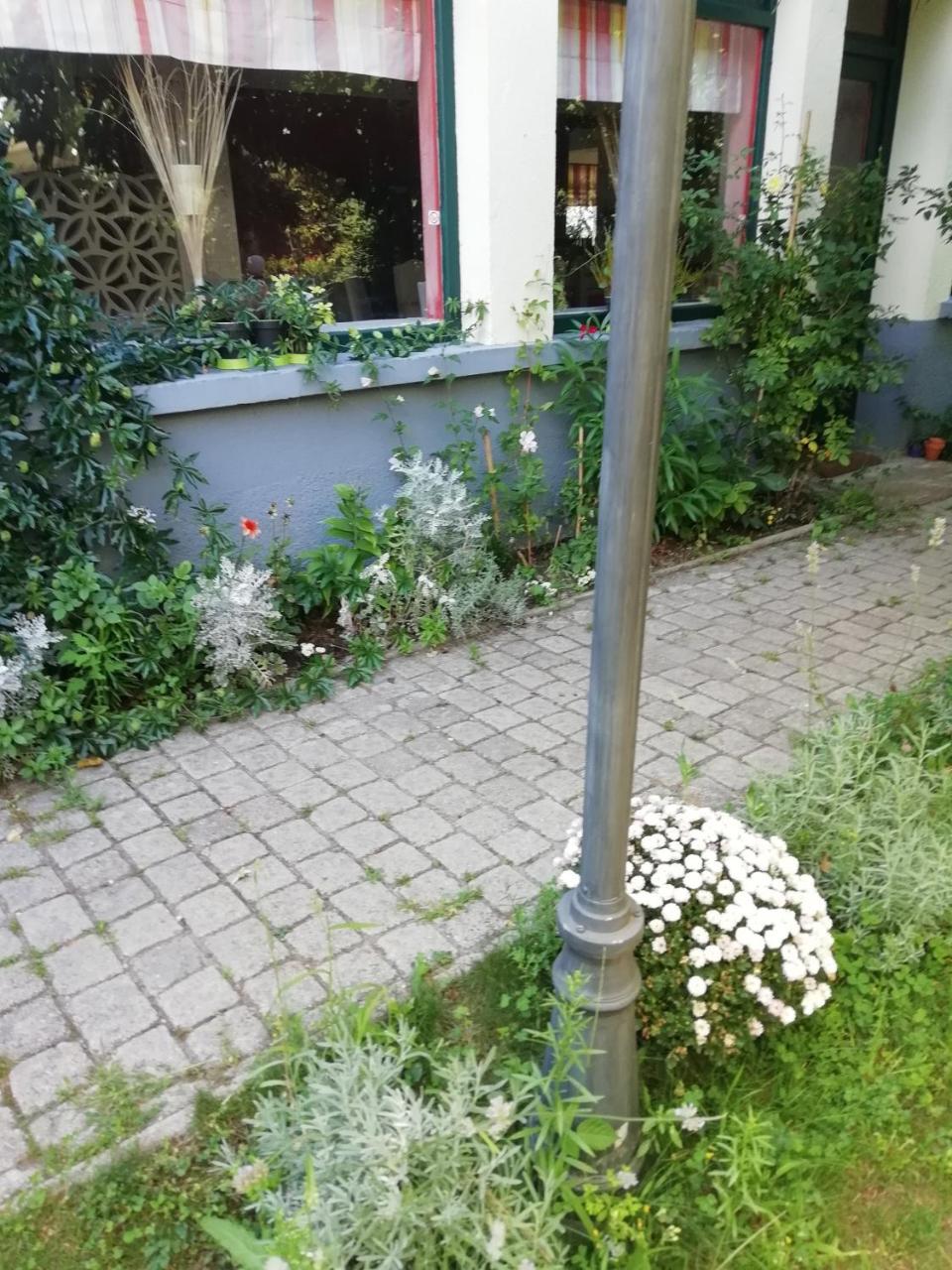 Gasthaus La Mirabelle-casteil Country House Exterior foto